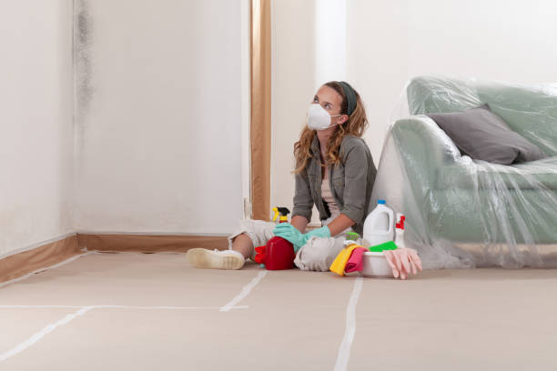 Reliable Mold Testing contractor in Miami Gardens, FL by WQB Mold Removal